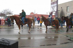 horses