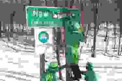 leprechauns200511