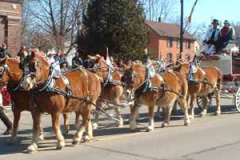 2006 Festivities