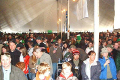 2007fest-thecrowd