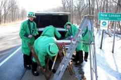 2007leprechauns-ladders
