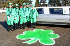 2007leprechauns-pups-lot