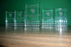 2007parade-trophies