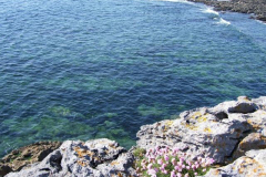 fl010029