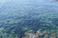 fl010030
