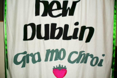 2008ceili-banner