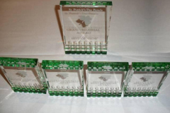 2008parade-awards