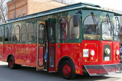 2009parade069-lamerstrolley
