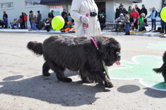 20130316-222